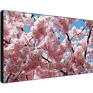 60 "Sharp PN-V600A black - Large-Format Display