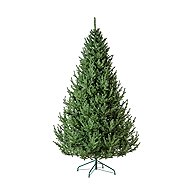 SIGA Vienna spruce 180cm - Christmas Tree