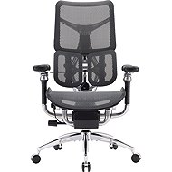 SIHOO DORO S300 Mesh tmavě šedá - Office Chair