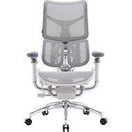 SIHOO DORO S300 Mesh světle šedá - Office Chair