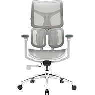 SIHOO DORO S100 Mesh bílá - Office Chair