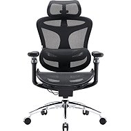 SIHOO DORO C300 Pro Mesh černá - Office Chair