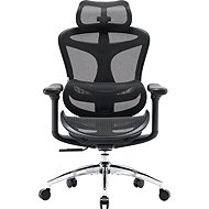 SIHOO DORO C300L Mesh černá - Office Chair