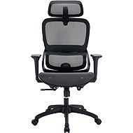 SIHOO B100 Mesh black - Office Chair