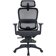 SIHOO B100 Mesh black with footrest - Office Chair
