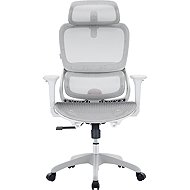SIHOO B100 Mesh white - Office Chair