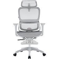 SIHOO B100 Mesh white with footrest - Office Chair