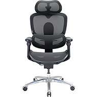 SIHOO C300 LITE V2 Mesh black - Office Chair