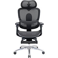 SIHOO C300 LITE V2 Mesh black with footrest - Office Chair