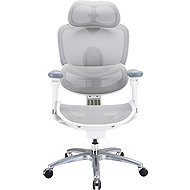 SIHOO C300 LITE V2 Mesh white - Office Chair