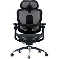 SIHOO C300 PRO V2 Mesh black - Office Chair