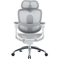 SIHOO C300 PRO V2 Mesh white - Office Chair