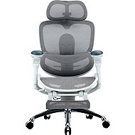 SIHOO C300 PRO V2 white with footrest - Office Chair