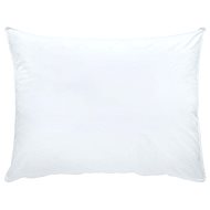 SCANquilt pillow COMFORT COTTON AB/AM - Pillow