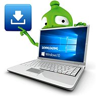 System upgrade to Windows 10 (with an update of the existing OS) - Service