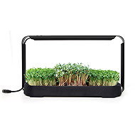 Bentech GreenBoost set for growing microgreens - Smart Flower Pot