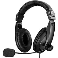 Sandberg SAVER Large USB Headset with Microphone, Black - Headphones