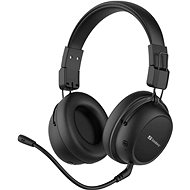 Sandberg Bluetooth Headset ANC FlexMic, black - Wireless Headphones