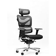 SPINERGO Manager grey - Office Chair