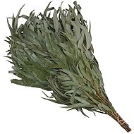 Sotra Metlička do sauny, eukalyptus - Sauna Whisk