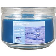 Empire Candle 10oz LH Spring Rain - Candle