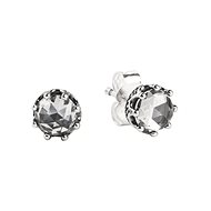 PANDORA 298311GB (925/1000, 7g) - Earrings