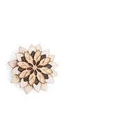 BeWooden LF2 Bellis Flower - Brooch