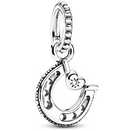 PANDORA Moments 799157C01 (Ag925/1000, 1,4g) - Charm