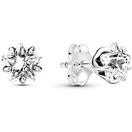 PANDORA People 290023C01 (Ag 925/1000, 1.4g) - Earrings