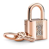 PANDORA Moments 780088C01 - Charm