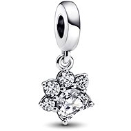 PANDORA Moments 792247C01 (Ag 925/1000, 2,4 g) - Charm