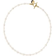 FURIOSA Nerrisa Choker gold - Necklace