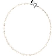 FURIOSA Nerrisa Choker silver - Necklace