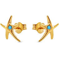 PANDORA 263820C01 (Ag925/1000, 1,4 g) - Earrings
