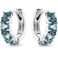 PANDORA 293851C01 (Ag925/1000, 3,8 g) - Earrings