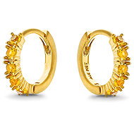PANDORA 263849C01 (Ag925/1000, 1,1 g) - Earrings
