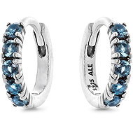 PANDORA 293849C01 (Ag925/1000, 1,3 g) - Earrings