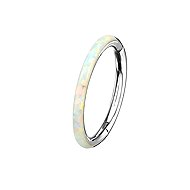 PININ Polished Segment Ring for Ear – Assorted Colours - Piercing