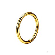 PININ 24K Gold-Plated Segment Ring for Ear - Piercing