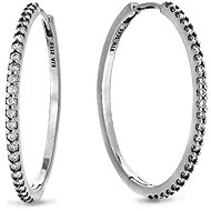 PANDORA Moments 294650C01 (Ag 925/1000, 3.8g) - Earrings