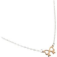 Lyra SDV10105P (925/1000; 1.97 g) - Necklace