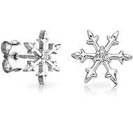 Dolcze Elsa 211005 (Au585/1000, 1,67g) - Earrings