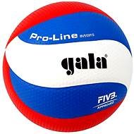 Gala Pro Line BV5591S - Volleyball