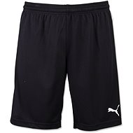 Puma Pitch Shorts Without Innerbrief black XXL - Shorts
