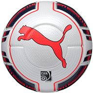 Puma evo POWER 2 Match FIFA white - Football 