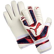 Puma evo POWER Grip 2 RC white-peacoat 7 - Goalkeeper Gloves
