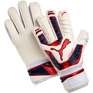 Puma evo POWER Grip 2 RC white-peacoat 10 - Goalkeeper Gloves