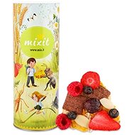 MIXIT Fruit gluten-free - Muesli