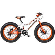 Coppi Fat Bike 20 (2016) - Children's Bike