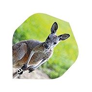 Bull's Paws Motex 52225 3 pcs - Dart Flights
